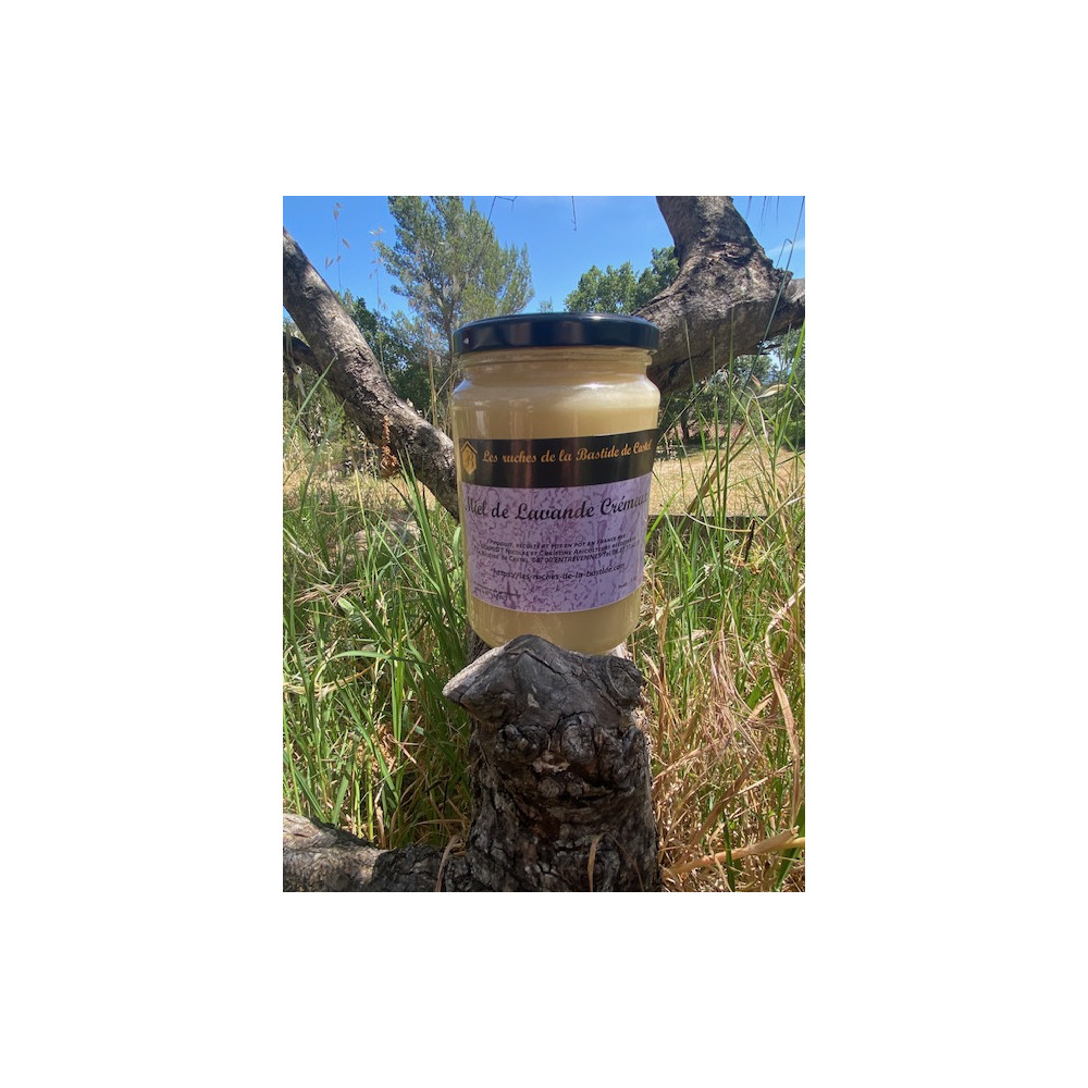 Miel de Lavande Crémeux- Origine Haute-Provence- A l'Ombre de l'Olivier-1 kg